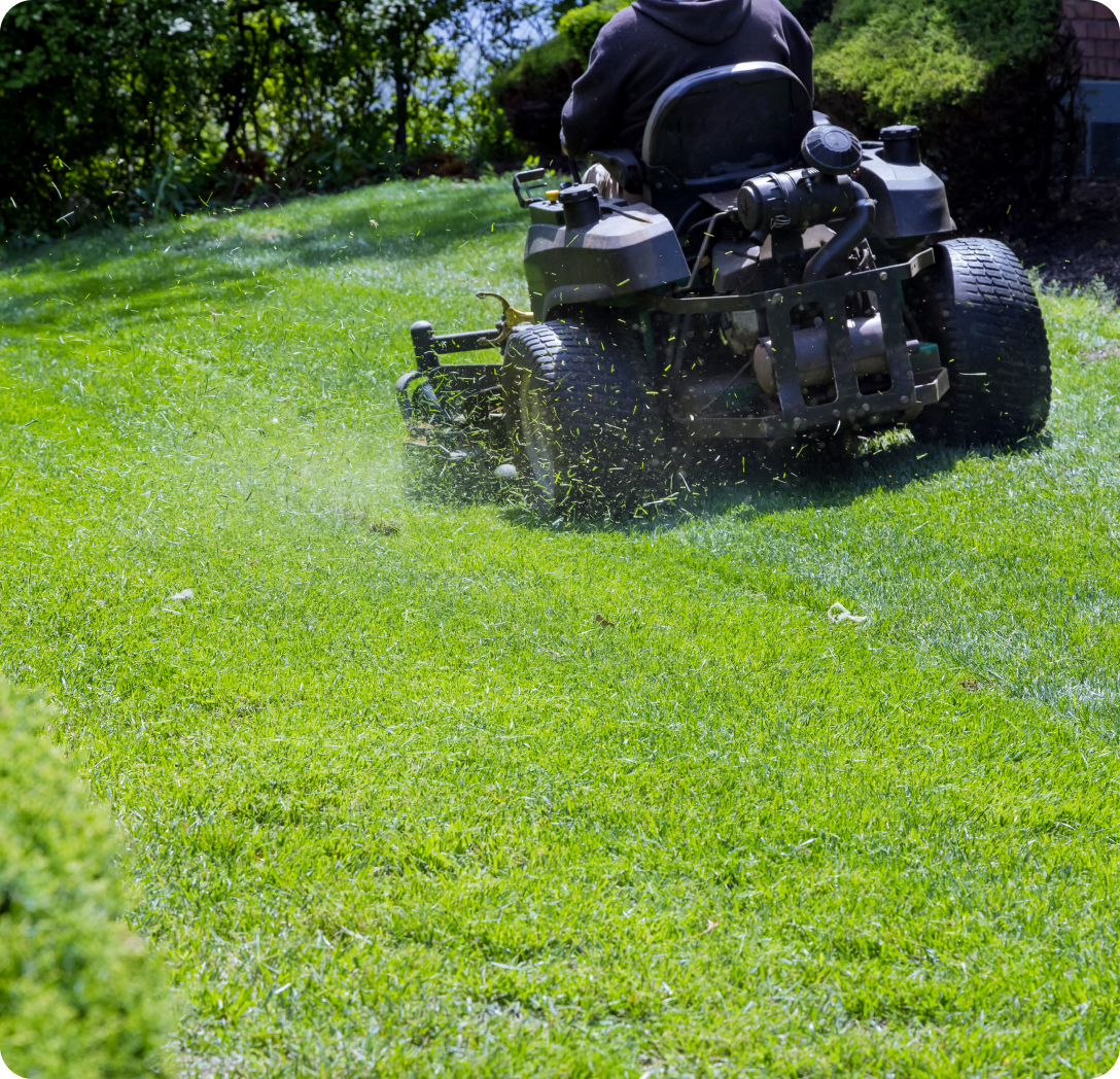 Commercial Lawn Care Solutions