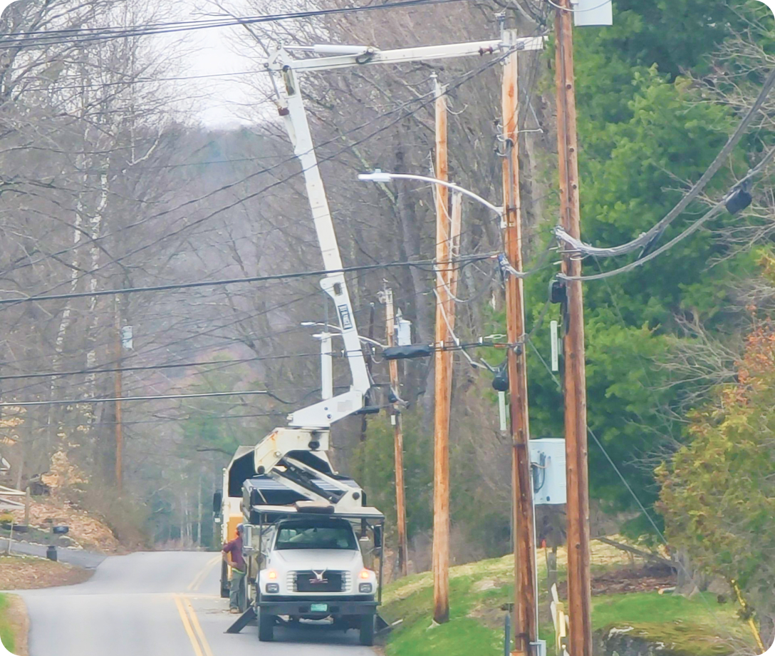 Emergency Tree Care