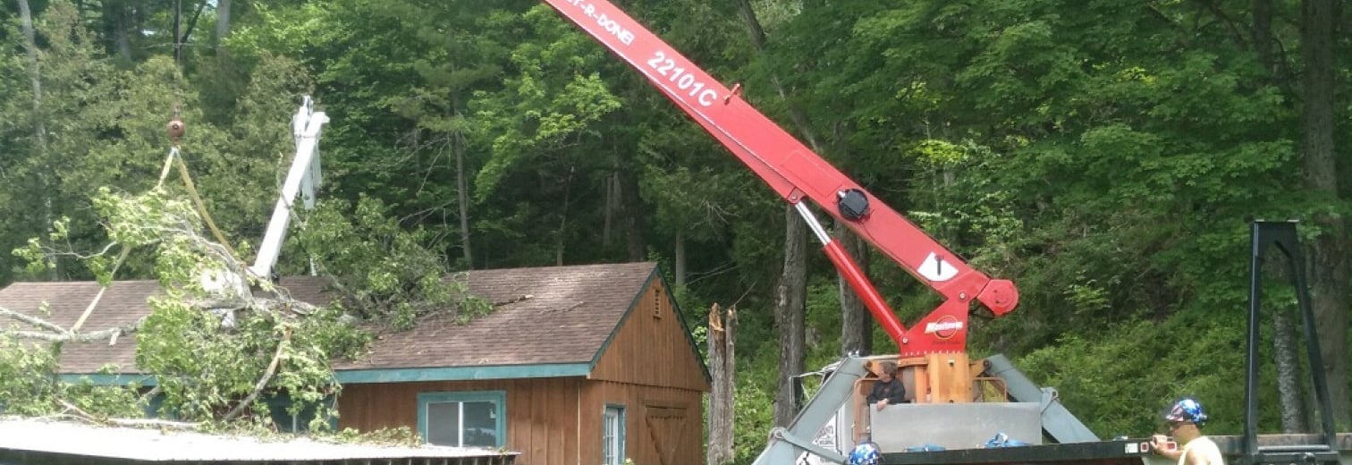 Hazard Damage Tree Removal