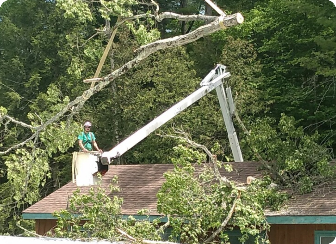 Storm Damage Tree Removal