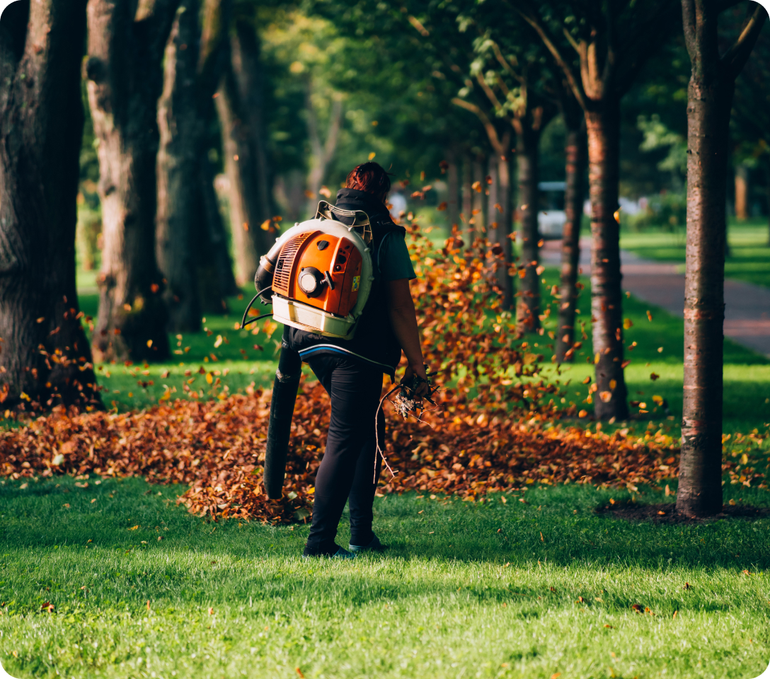 Seasonal Lawn Cleaning