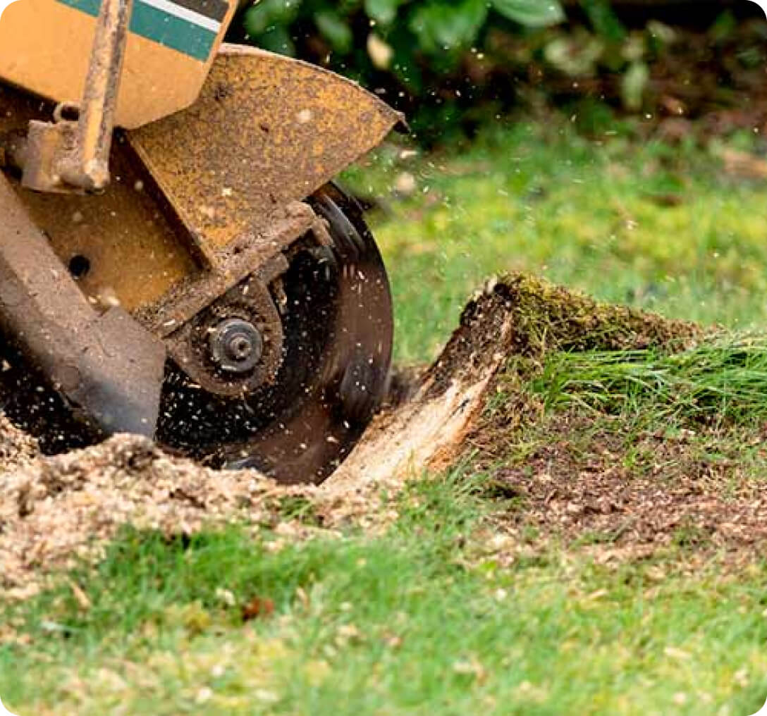 What is Stump Grinding?